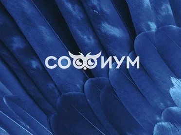 Стартует региональный этап Всероссийской олимпиады «Софиум»!