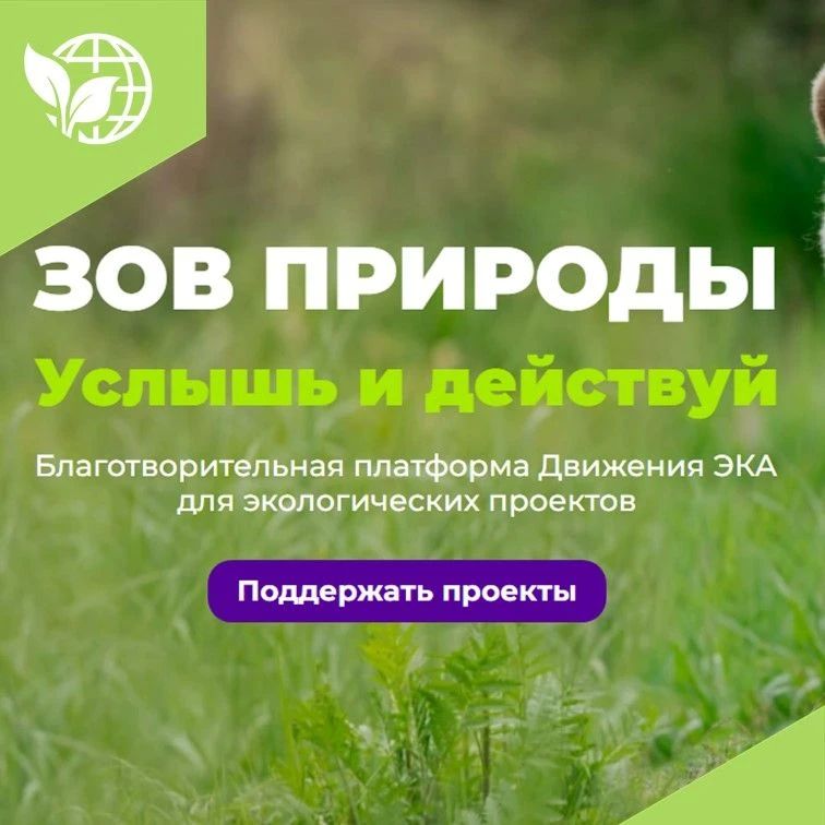 Платформа «Зов природы» приглашает авторов экологических инициатив из разных регионов России разместить проекты для сбора пожертвований
