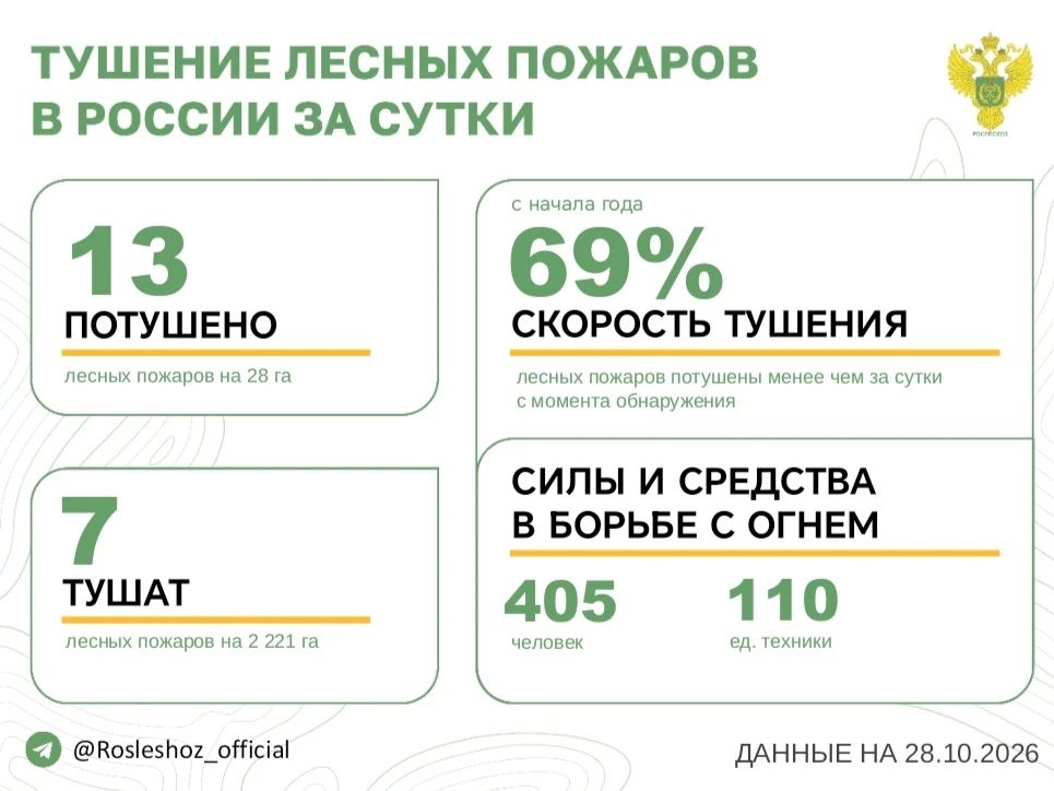 За прошедшие сутки в 9 регионах России потушили 13 лесных пожаров
