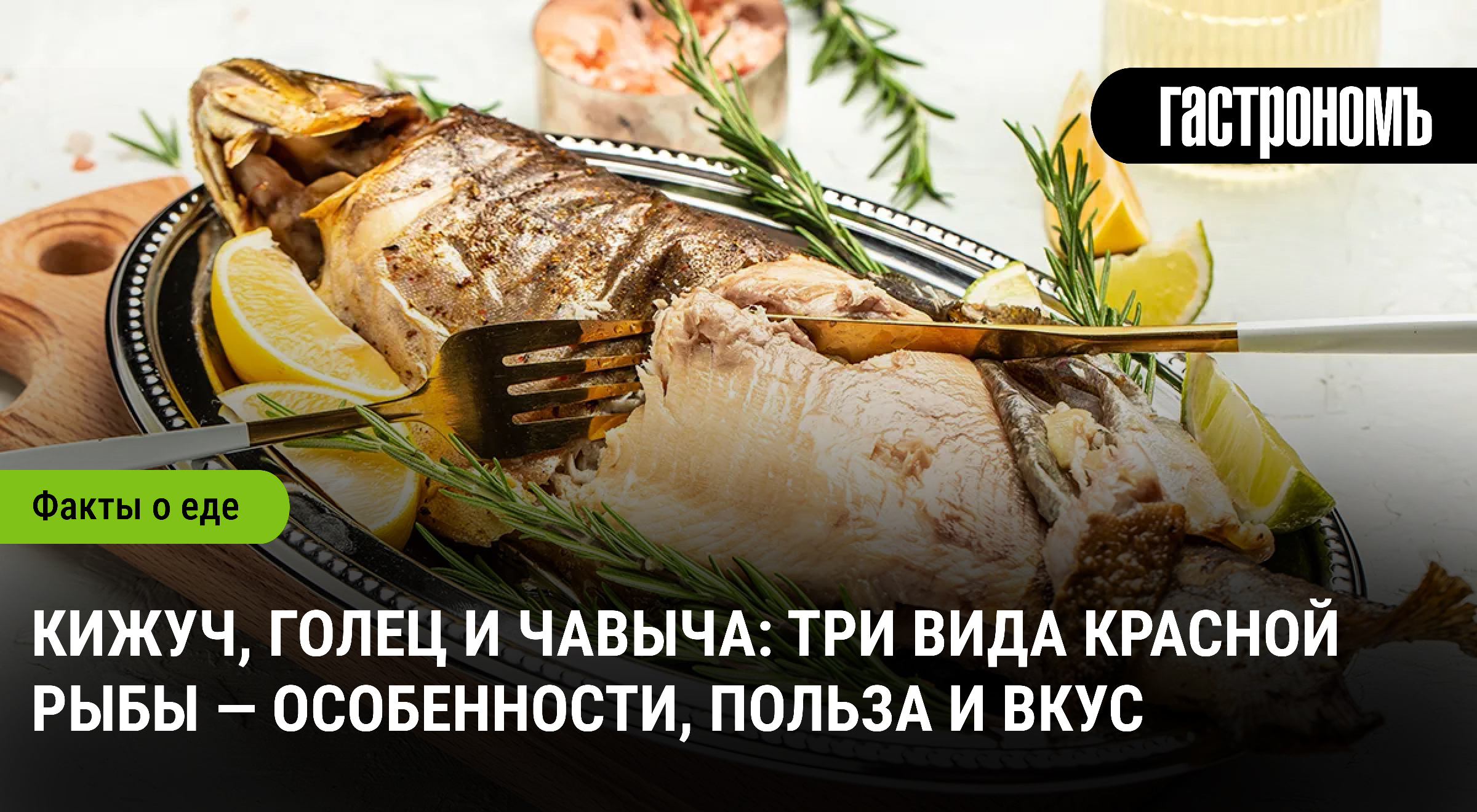 Кижуч, голец или чавыча: как выбрать красную рыбу и раскрыть её вкус