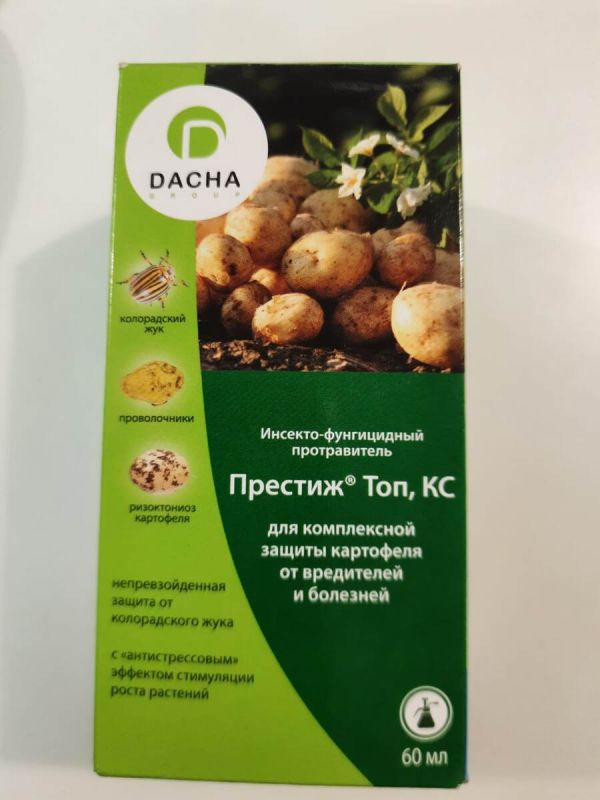 Протравка картошки: действительно ли это решит проблему колорадского жука и болезней?