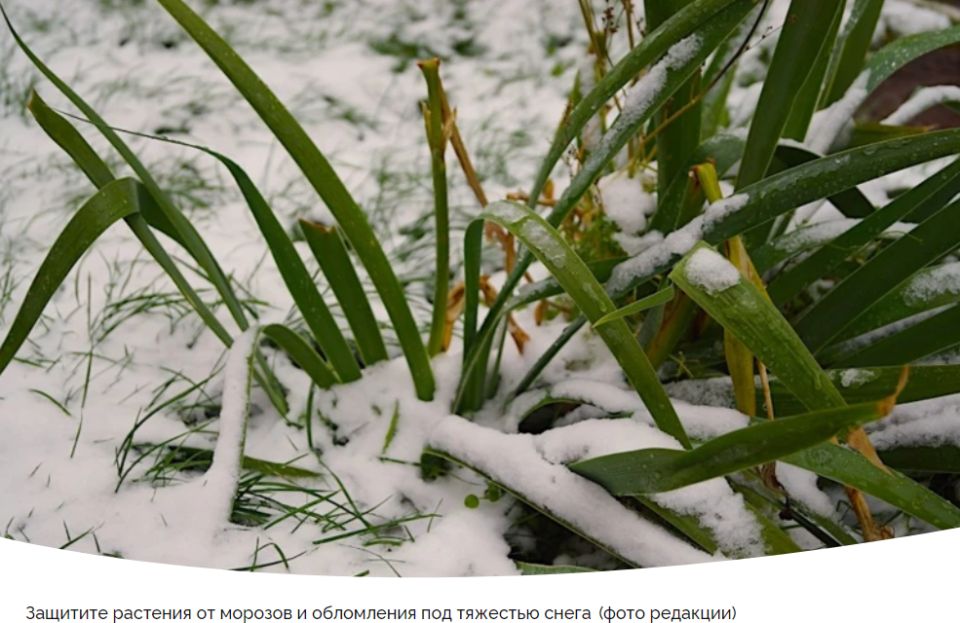 Лунный календарь садово-огородных работ с 4 по 10 ноября