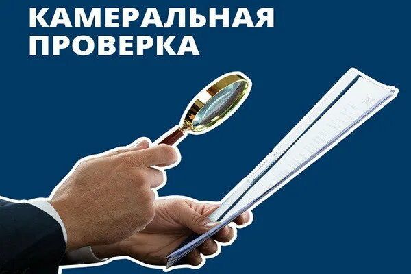 Камеральная проверка в 2025 году: что важно знать налогоплательщикам