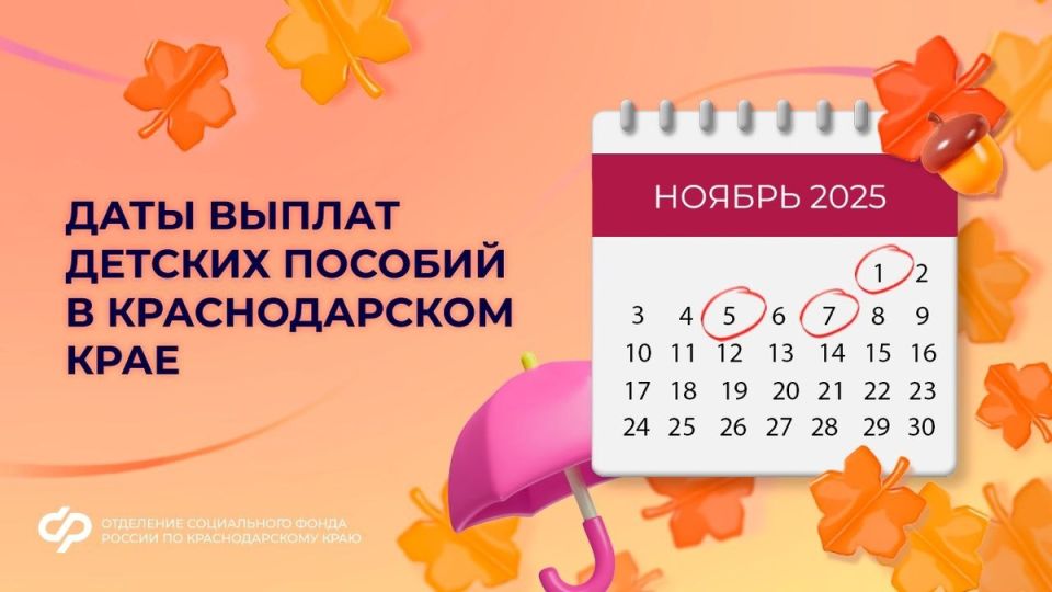 Ноябрьские выплаты: Новый график и важные изменения