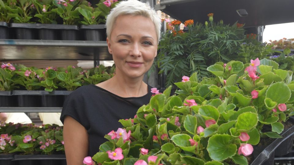 Рассаду будете сажать только так: быстро, легко и поместится на одном подоконнике