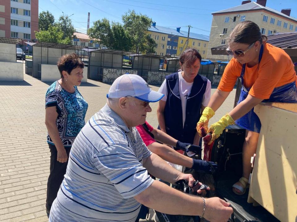 ������ ������� �� ���: ���������� ������� ��������� �������