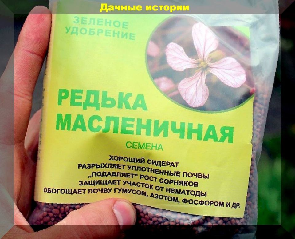 ������ ���������: ���� � ���������� ������ �������