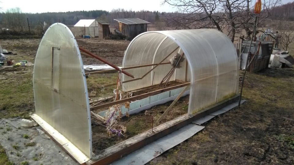 ���� � ����-��������: ������ � ��������