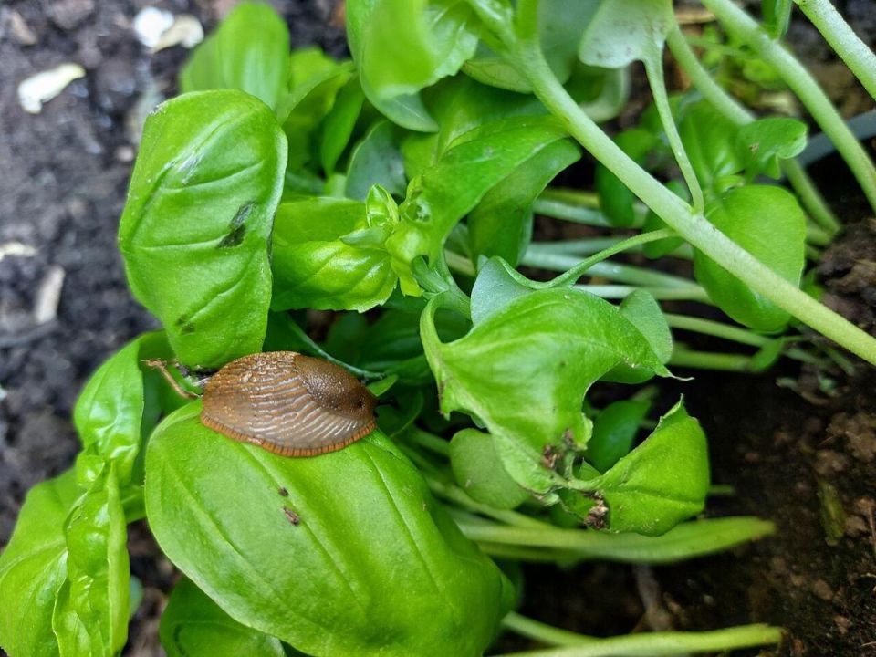 ������ � ������: ����������� ��������� ��� ������ ����