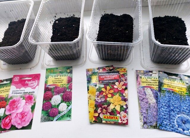 � ���� ��������� �������� � ������: ������� ������� ������