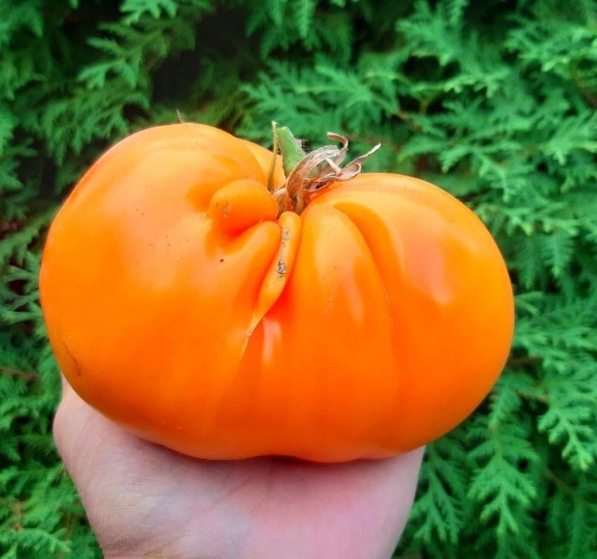 ���������� � ���������� ����� � ��������� ������, ������� �������� �����������