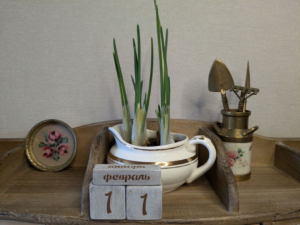 ������ ����������: ����� ��� ������ ��������� �����������