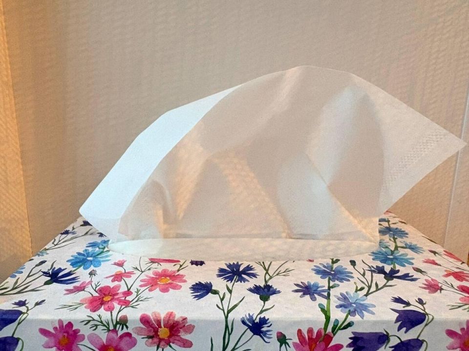 ������ ������ �������� �� ����� � �������: ������ ��������