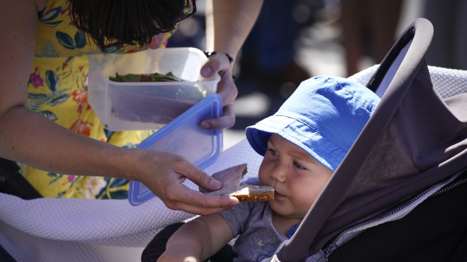 ���� �������, �� ��������: ��� �������� ������� � ��������� ������� ��� ������ � �����������