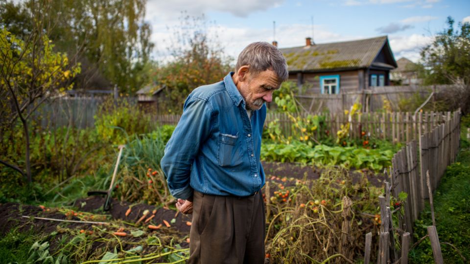 ���� ��� ������ ������: ������ ������ ���������� ������