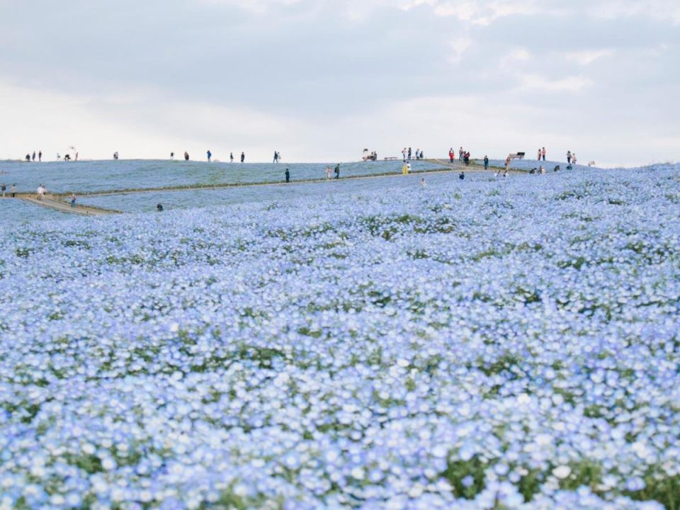 ����������� ���: ������� ������� ����� � ����� ������