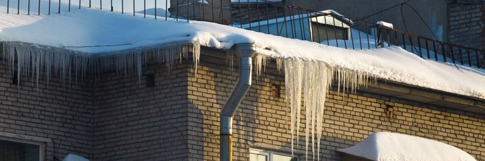 ������ ������: ������ ����� �� ����� � �������