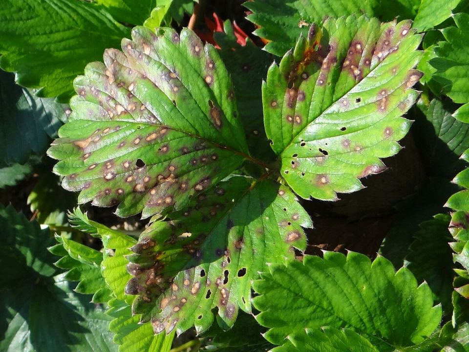 ��� ������ � ������� �� ���������� ������� ������?