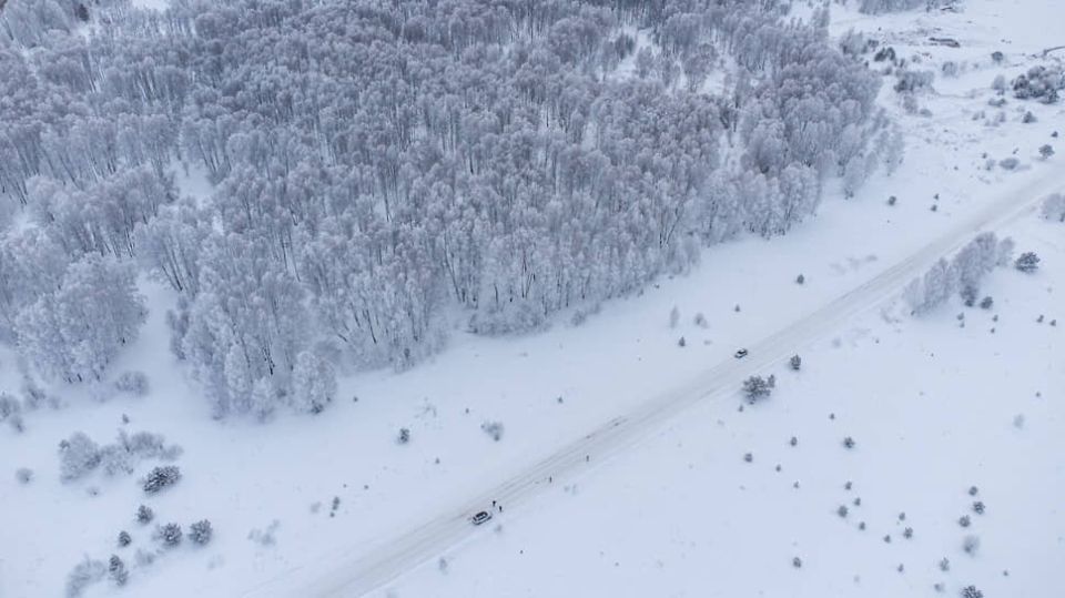 ��������� ������ ������������: ���������� � ��������� � ������ �������