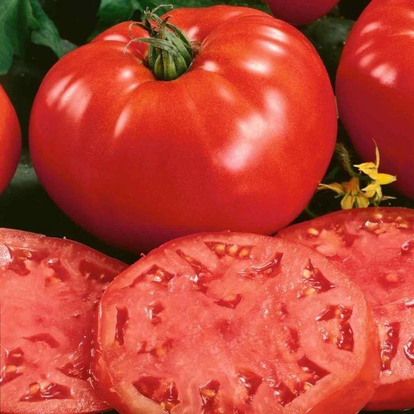 ������ ������ f1: ������������ ����� ��� ������ �������