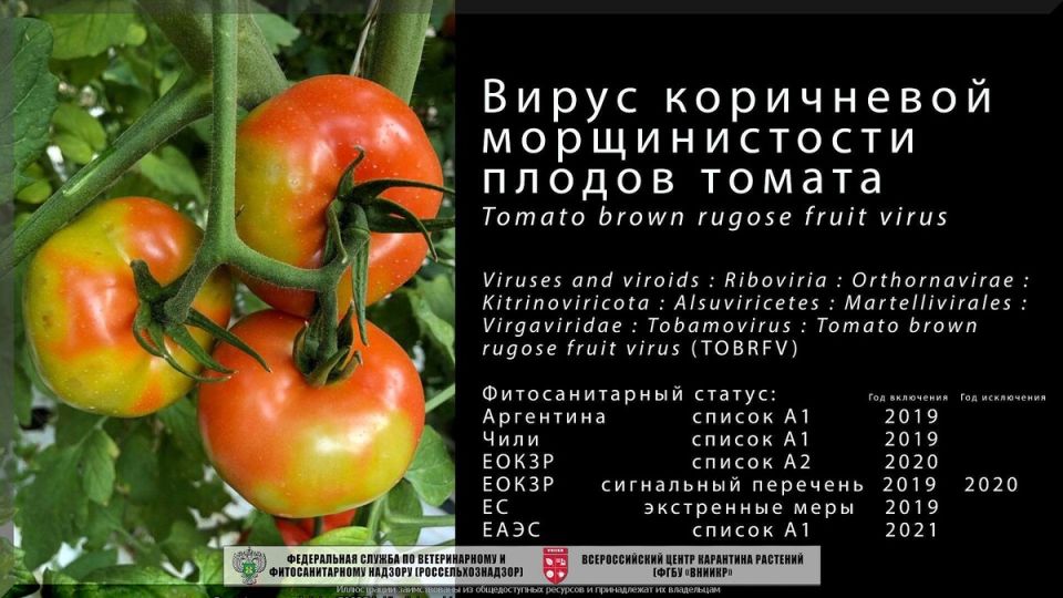 ������� �������: ������ �� ��������� ������� ��������