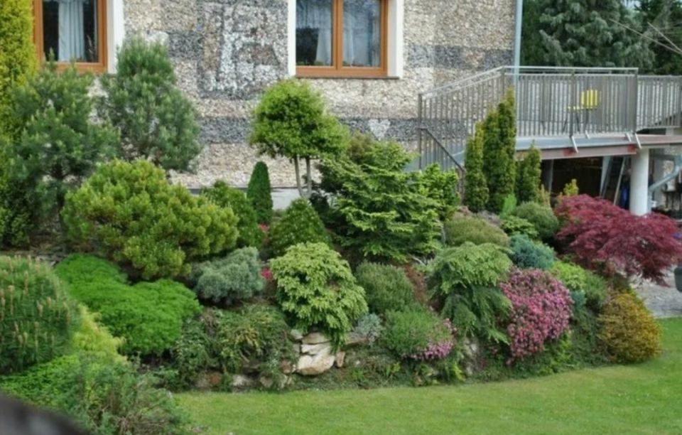 ��� ������� ������� ������ � ����: ��������� ���� ��� ������ ������ �� ��� ������