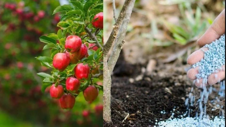 ��� june ��������� �������� �������� ���������� ��������� ��� � �������� �������� ������