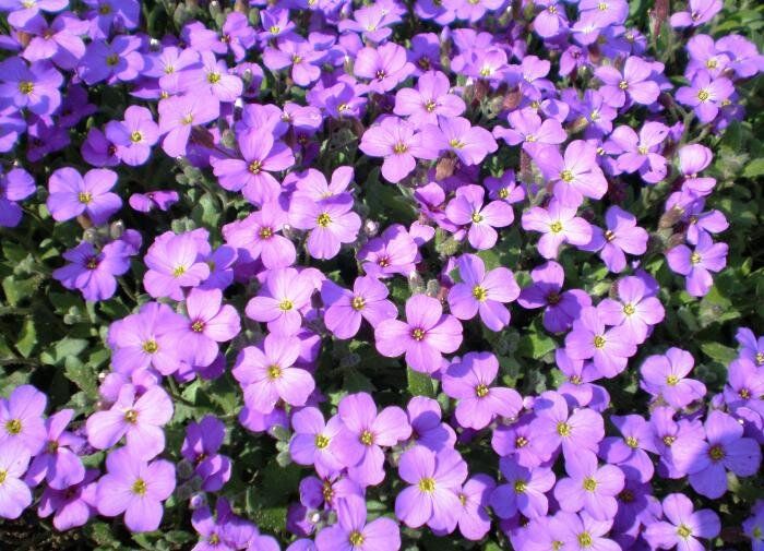 �������: ��������� ������� ��� ������������� �����