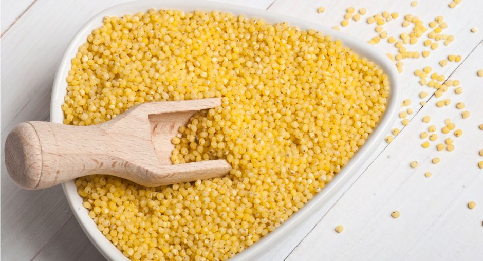 �����: ������� �������, ������� ������ � ������� ����������