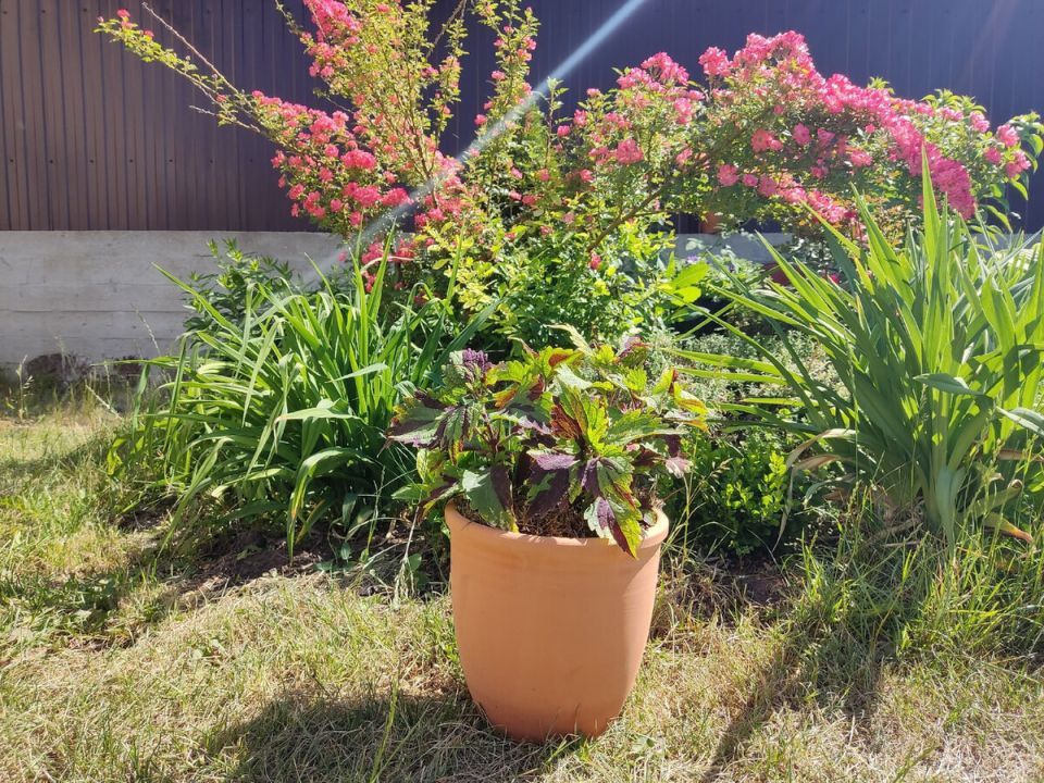 ������ ����� ��������� � 