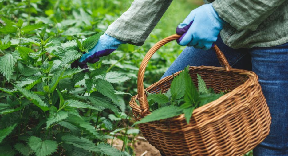 �������: ��������� ������ ��� ������ ������� �������