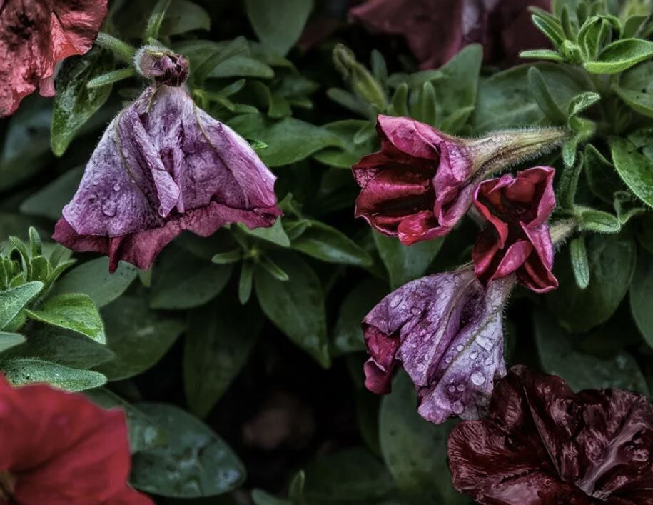 ��� ������� ������� � ����� ����� �������� ������