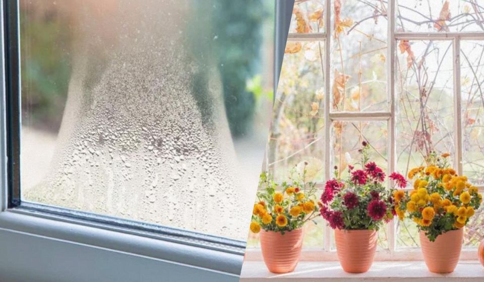 ��� ���������� �� ���������� �� ����� � ������� ��������� ������