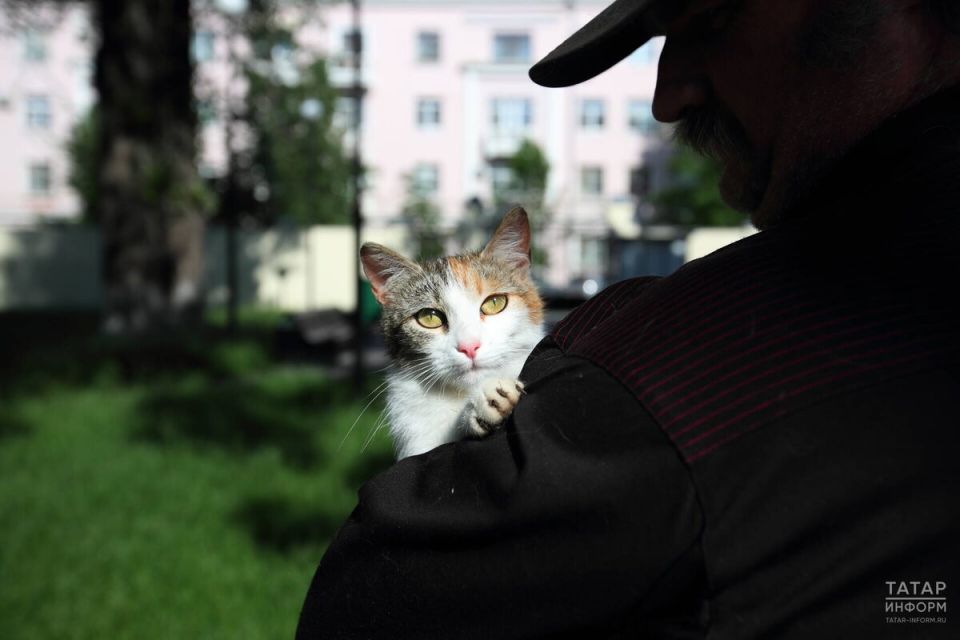 ������ �� ������������� �������� �������� � �������� ������: ���������� ��������� �������