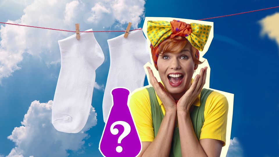 �� ������������ ���������� �����: ������� �� ������� ������� ���� ������� �������