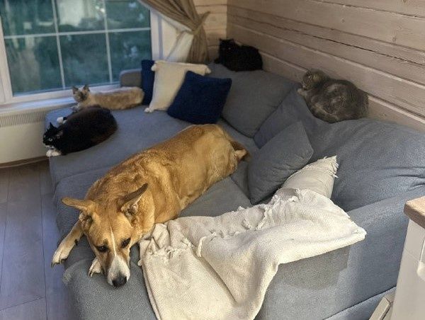 � ������� ���������� ����������: ����� ���������� ����� �������� �������� �� ���������� ����� �����