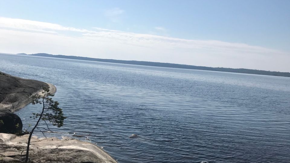 ��������� ������� ��� ������ ����� � �����