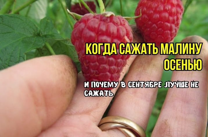 ������ �� ����� ������ ������ � ��������