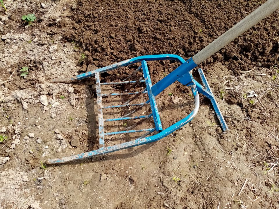 ��� �������� ���������� �����: ������� ��������� ��������