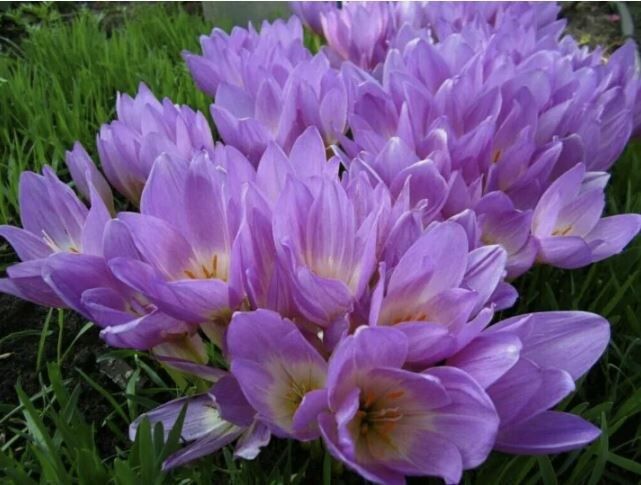 ������� �������: �������������, ������� ���������