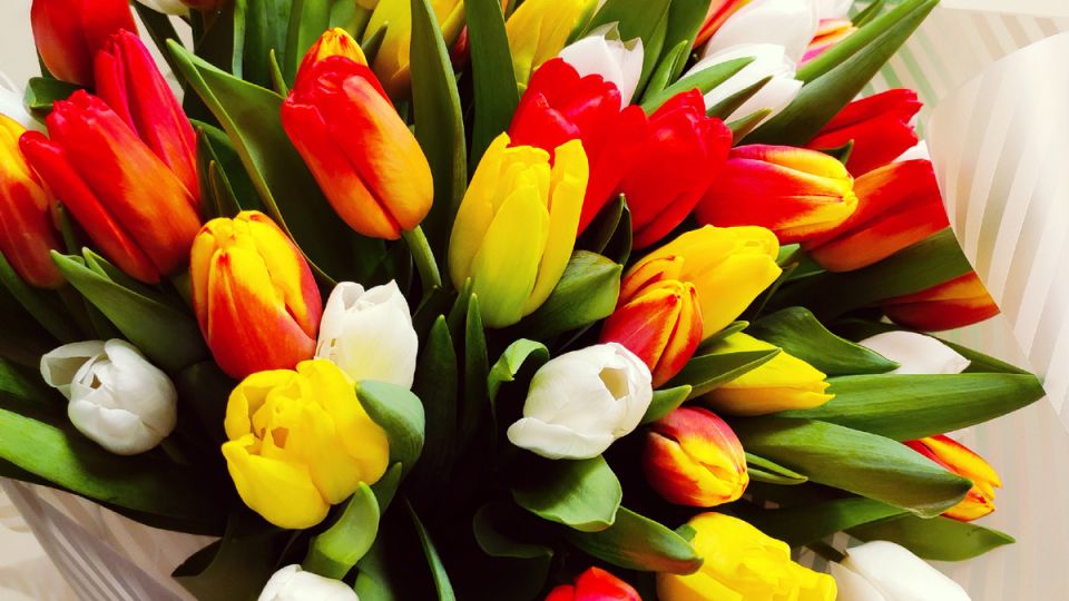 ������ ���� �������� ����� �� �������� � ��������� ����: ��� ����� ������������� ��������