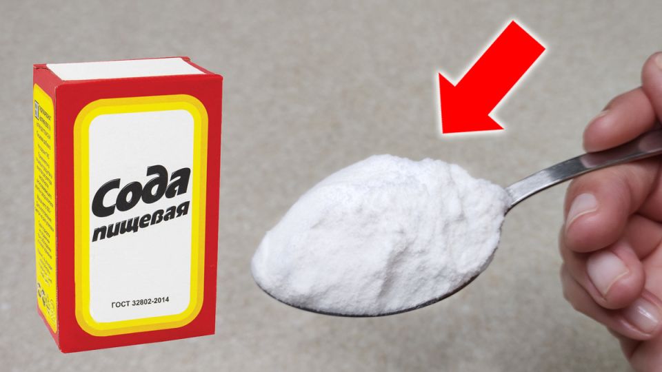 9 ������������ �������� ���������� ���� � ����, ������� �� ����� �� �����