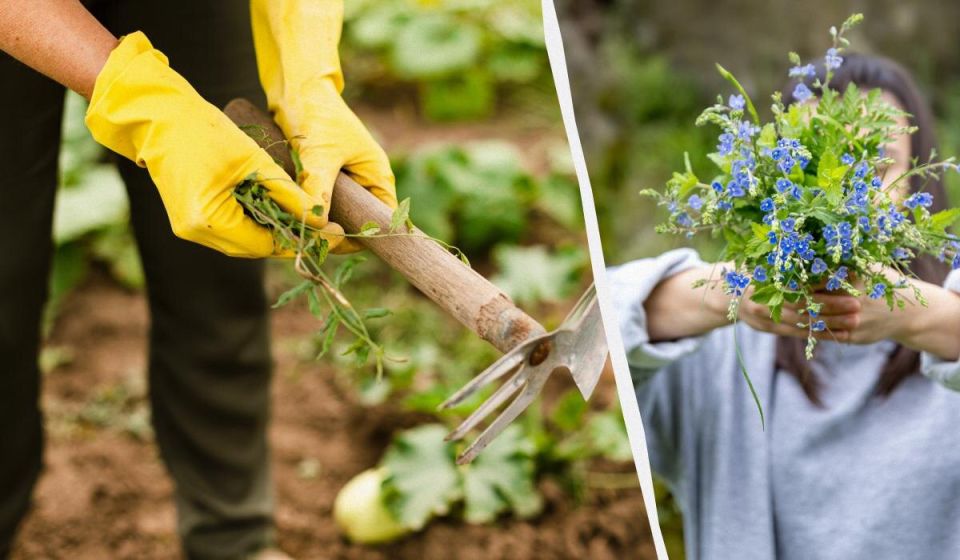 ��� ��� ���������� � ��������� �� �������� � ������� ��������������