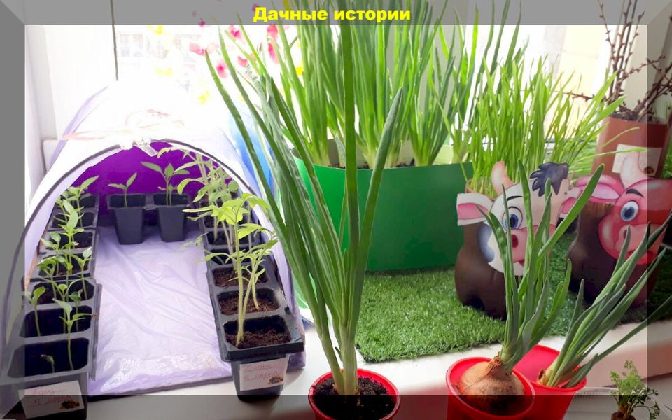 �������� ������� �������: ���� � ������