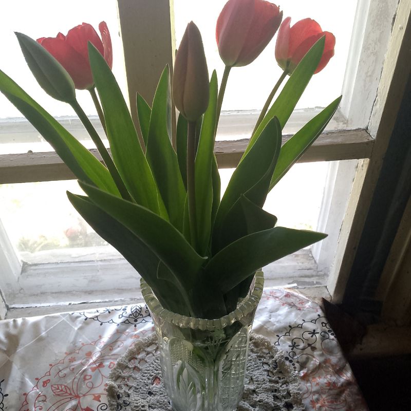 ������ � �������� ������� �� ��������� ������ � �� ����� �� ����