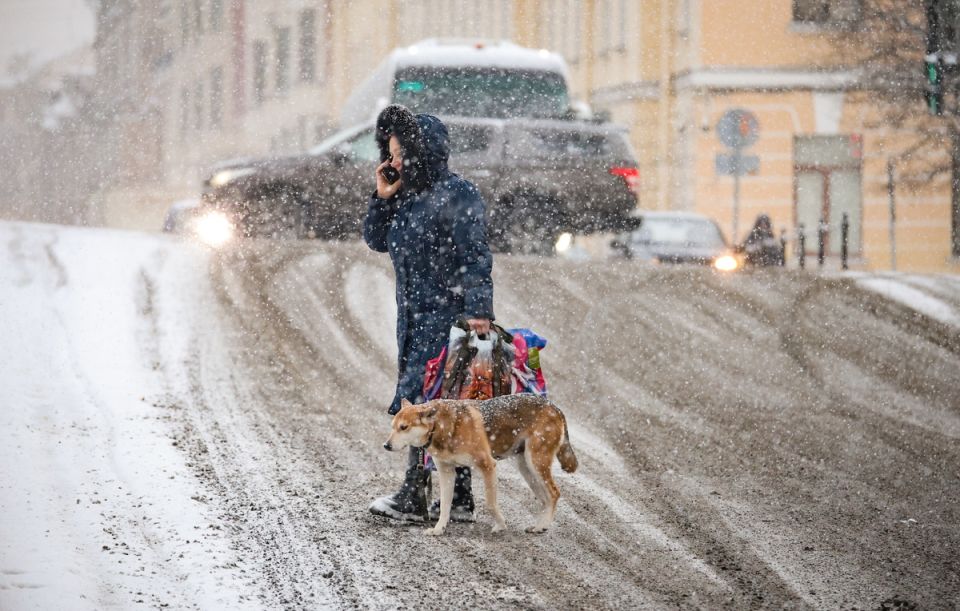 ����������� �������� ��������: ������������� �������� ���������� �� ������ � �����������