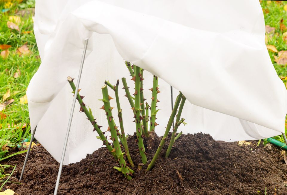 ����� ����� �������� ����: ������ �� ���������� � ����