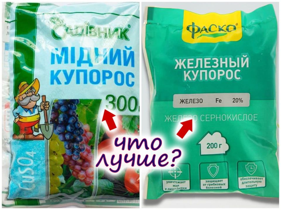 ��� �������: ������ ��� �������� ������� ��� ����?