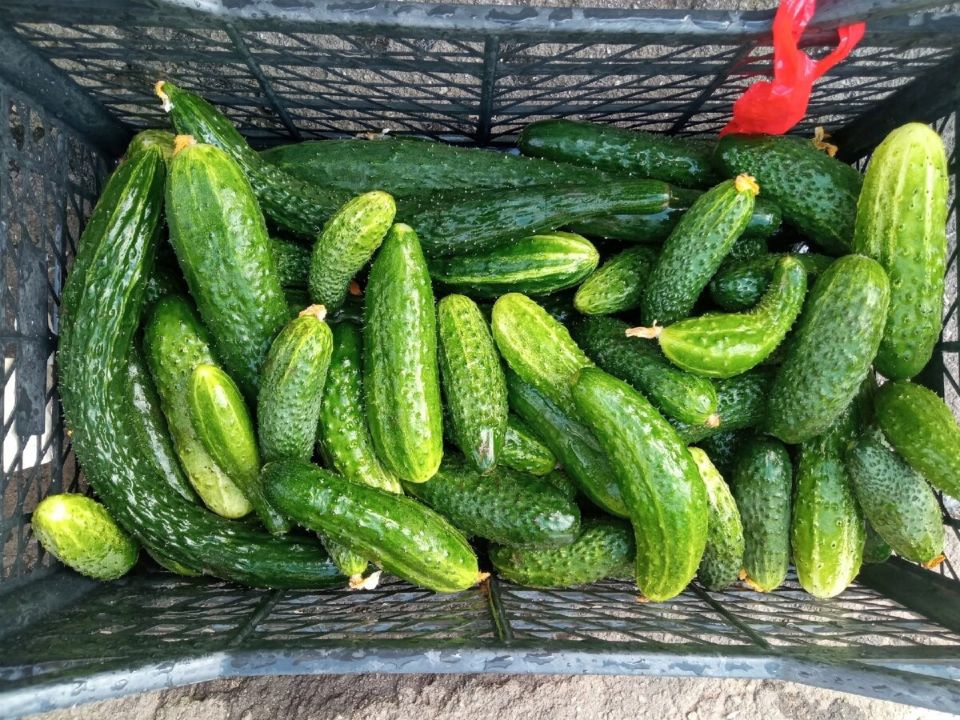 ��������� ������: ��� ������� ������� �� ����� �������