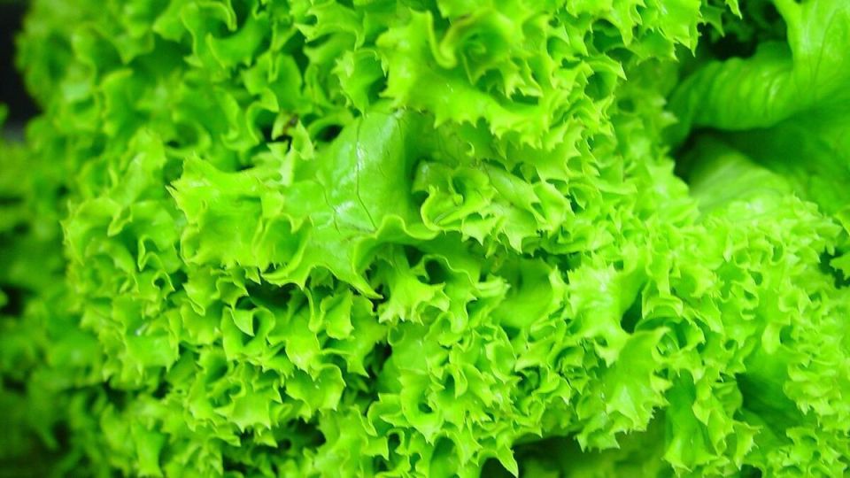 ������: ������� ���������� �������� � ������ �����